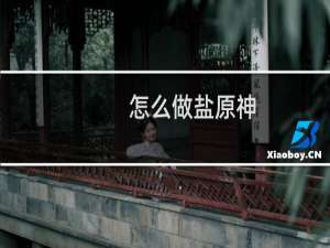 怎么做盐原神