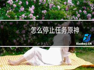 怎么停止任务原神
