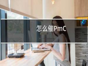 怎么催PmC