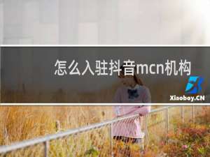 怎么入驻抖音mcn机构