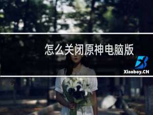 怎么关闭原神电脑版