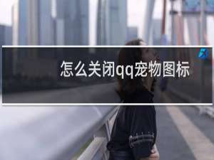 怎么关闭qq宠物图标