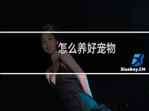 怎么养好宠物