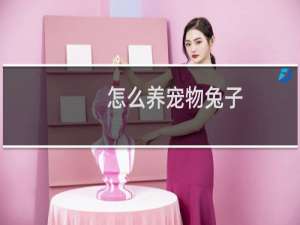 怎么养宠物兔子