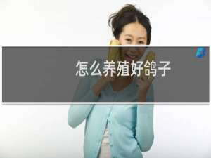 怎么养殖好鸽子