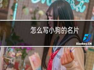 怎么写小狗的名片