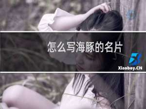 怎么写海豚的名片