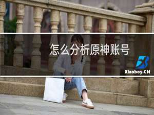 怎么分析原神账号