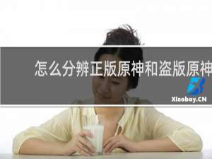 怎么分辨正版原神和盗版原神