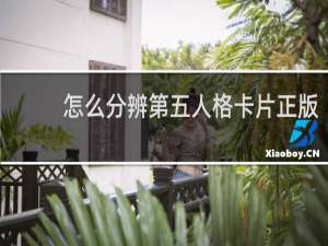 怎么分辨第五人格卡片正版