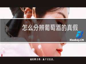 怎么分辨葡萄酒的真假