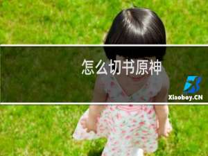 怎么切书原神