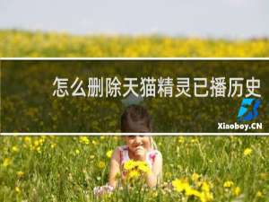 怎么删除天猫精灵已播历史