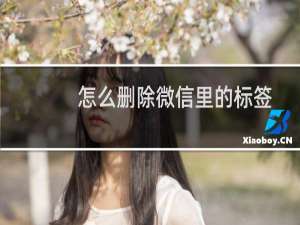 怎么删除微信里的标签