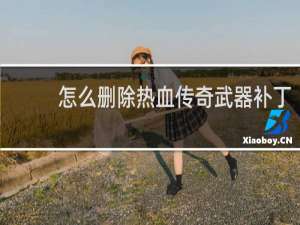 怎么删除热血传奇武器补丁