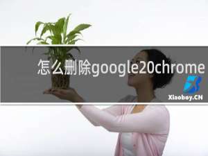 怎么删除google chrome