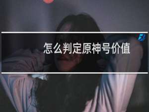 怎么判定原神号价值