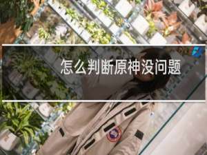 怎么判断原神没问题