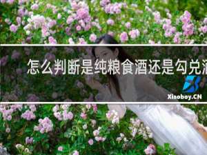 怎么判断是纯粮食酒还是勾兑酒
