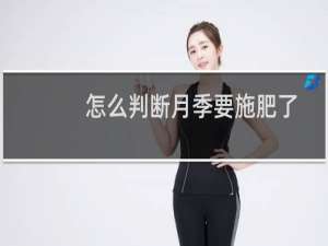 怎么判断月季要施肥了