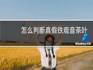 怎么判断真假铁观音茶叶