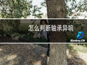 怎么判断轴承异响