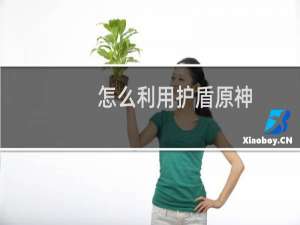怎么利用护盾原神