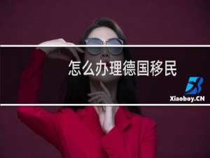 怎么办理德国移民