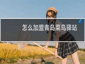 怎么加盟青岛菜鸟驿站