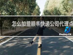 怎么加盟顺丰快递公司代理点