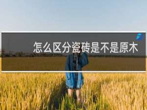 怎么区分瓷砖是不是原木