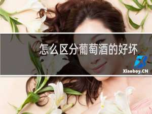 怎么区分葡萄酒的好坏