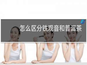 怎么区分铁观音和普洱茶