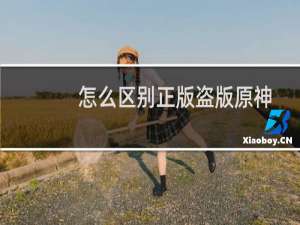 怎么区别正版盗版原神