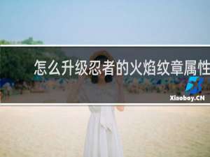 怎么升级忍者的火焰纹章属性