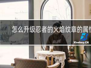 怎么升级忍者的火焰纹章的属性