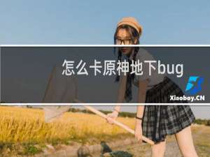 怎么卡原神地下bug