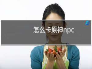 怎么卡原神npc