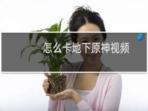 怎么卡地下原神视频