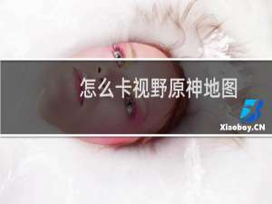 怎么卡视野原神地图