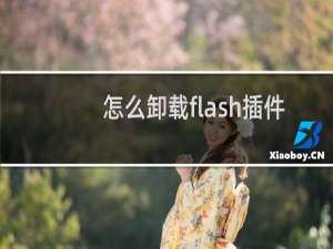 怎么卸载flash插件