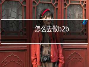 怎么去做b2b