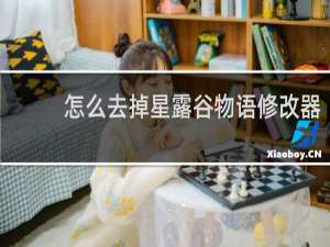 怎么去掉星露谷物语修改器