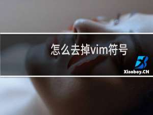 怎么去掉vim符号