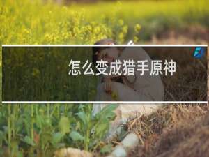怎么变成猎手原神