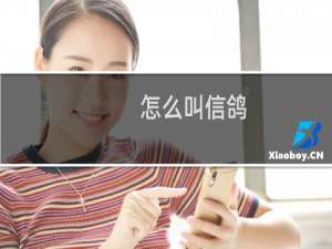 怎么叫信鸽