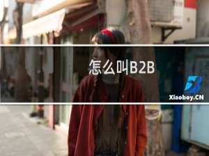 怎么叫B2B