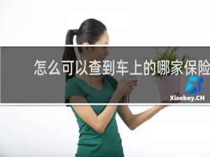 怎么可以查到车上的哪家保险
