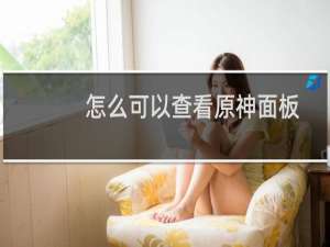 怎么可以查看原神面板