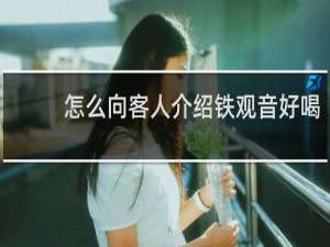 怎么向客人介绍铁观音好喝